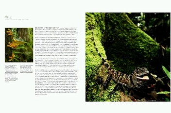 Бумажная книга «Life: Extraordinary Animals, Extreme Behaviour», авторов Марта Холмс, Майкл Гантон, Руперт Баррингтон, Адам Чепмен, Патрик Моррис, Тед Оакс - фото №10 - миниатюра