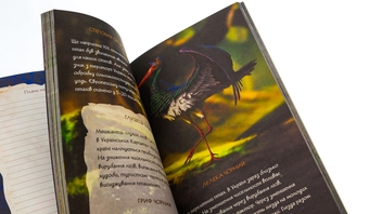 Бумажная книга «Мавка. Щоденник. Україночка» - фото №4 - миниатюра
