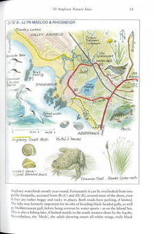 Бумажная книга «Anglesey Naturewatch», автор Филип Сноу - фото №4 - миниатюра