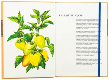 Бумажная книга «Кулінарний записник Осінь», автор Дария Крикунова - фото №5 - миниатюра