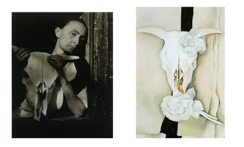 Бумажная книга «Georgia O'Keeffe», автор Бритта Бенке - фото №9 - миниатюра