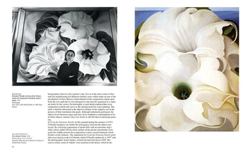 Бумажная книга «Georgia O'Keeffe», автор Бритта Бенке - фото №10 - миниатюра