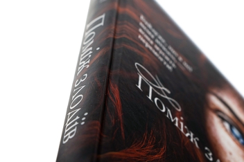 Бумажная книга «Поміж злодіїв», автор Эдриенн Янг - фото №4 - миниатюра