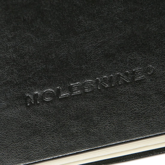  «Альбом для акварели Moleskine Folio Art формата А3 Черный (BF852EN)», бренда Moleskine - фото №7 - миниатюра