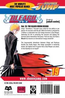 Паперова книга «Bleach. Volume 19», автор Тайто Кубо - фото №2 - мініатюра
