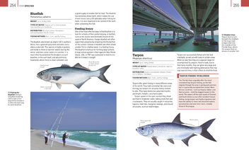 Бумажная книга «The Compete Fishing Manual», автор Генри Гилби - фото №6 - миниатюра