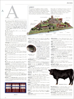 Бумажная книга «DK Illustrated Oxford Dictionary» - фото №4 - миниатюра