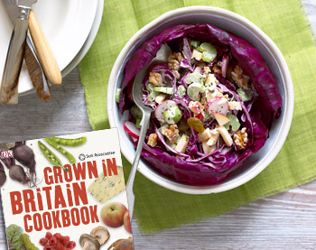 Паперова книга «Grown in Britain Cookbook», автор Донна Еір - фото №8 - мініатюра