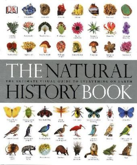 Бумажная книга «The Natural History Book», автор Бекки Александер - фото №2 - миниатюра