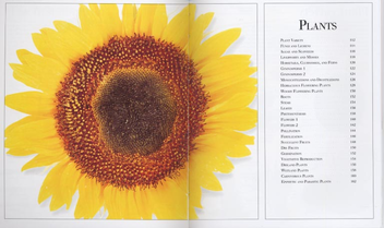Бумажная книга «Pocket Visual Dictionary» - фото №3 - миниатюра