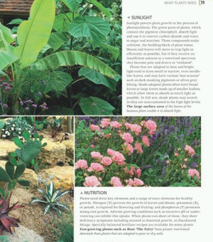 Паперова книга «RHS Complete Gardener's Manual» - фото №4 - мініатюра