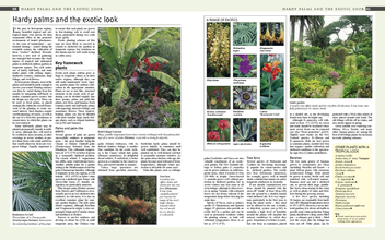Бумажная книга «RHS Encyclopedia of Gardening», автор Кристофер Брикелл - фото №6 - миниатюра