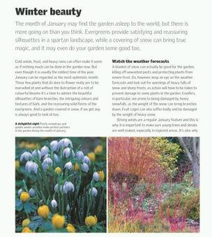 Паперова книга «RHS Gardening Through the Year», автор Іен Спенс - фото №6 - мініатюра