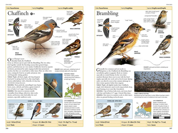 Бумажная книга «RSPB Birds of Britain and Europe», автор Роб Хьюм - фото №3 - миниатюра