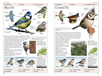 Бумажная книга «RSPB Birds of Britain and Europe», автор Роб Хьюм - фото №4 - миниатюра