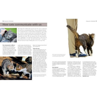 Бумажная книга «Complete Cat Care: What Every Cat Owner Needs to Know», автор Брюс Фогль - фото №4 - миниатюра