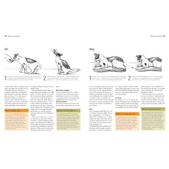 Бумажная книга «Complete Cat Care: What Every Cat Owner Needs to Know», автор Брюс Фогль - фото №5 - миниатюра