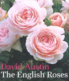Паперова книга «The English Roses», автор Девід Остін - фото №1 - мініатюра