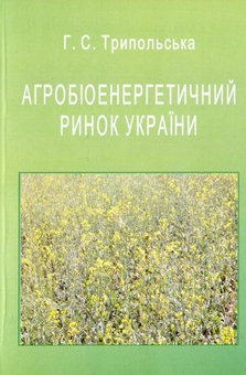 Бумажная книга «Агробіоенергетичний ринок України», автор Галина Трипольская - фото №2 - миниатюра