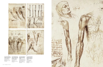 Бумажная книга «Leonardo da Vinci: The Complete Paintings and Drawings (комплект из 2 книг)», автор Франк Цельнер - фото №13 - миниатюра