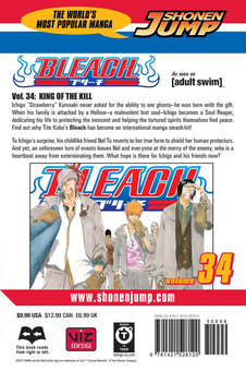Паперова книга «Bleach. Volume 34», автор Тайто Кубо - фото №2 - мініатюра