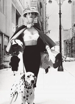 Бумажная книга «Lillian Bassman: Lingerie», автор Лилиан Бассман - фото №2 - миниатюра
