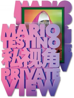 Бумажная книга «Mario Testino. Private View», автор Марио Тестино - фото №2 - миниатюра