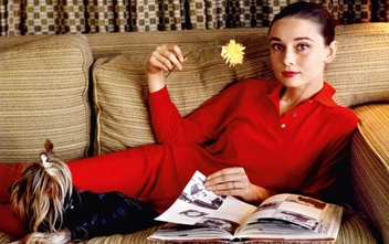 Паперова книга «Bob Willoughby: Audrey Hepburn» - фото №7 - мініатюра