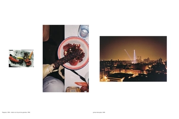 Бумажная книга «Wolfgang Tillmans (комплект из 3 книг)», автор Минору Шимизу - фото №3 - миниатюра
