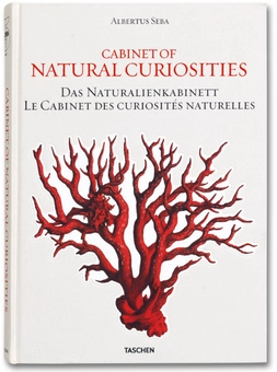 Паперова книга «Albertus Seba. Cabinet of Natural Curiosities», автор Альбертус Себа - фото №1 - мініатюра
