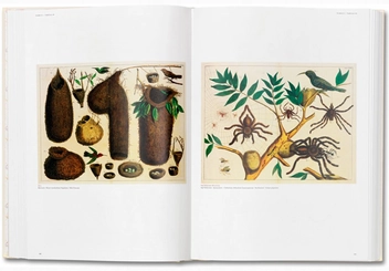 Паперова книга «Albertus Seba. Cabinet of Natural Curiosities», автор Альбертус Себа - фото №3 - мініатюра