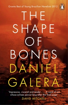 Паперова книга «The Shape of Bones», автор Даніел Галера - фото №2 - мініатюра