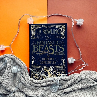 Бумажная книга «Fantastic Beasts and Where to Find Them. The Original Screenplay», автор Джоан Роулинг - фото №3 - миниатюра