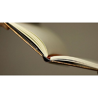 «Записная книга в линию Кружево Paperblanks (PB3250-2)», бренда Paperblanks - фото №2 - миниатюра