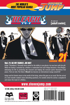 Бумажная книга «Bleach. Volume 21», автор Тайто Кубо - фото №2 - миниатюра