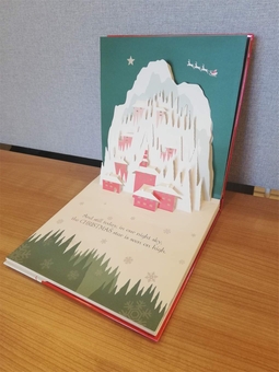 Бумажная книга «Follow the Star. A pop-up Christmas journey», автор Энди Мэнсфилд - фото №3 - миниатюра