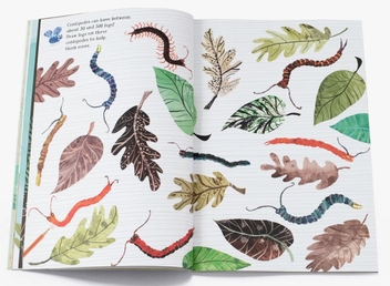 Бумажная книга «The Big Sticker Book of Bugs», автор Юваль Зоммер - фото №2 - миниатюра