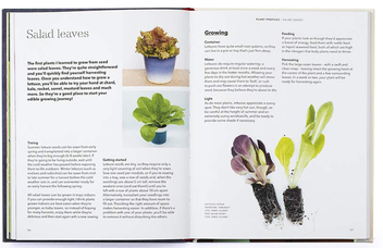 Паперова книга «How to Grow Your Dinner Without Leaving the House», автор Клер Ратінон - фото №3 - мініатюра