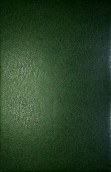 Бумажная книга «Ольга Кобилянська. Твори. Том 8», автор Ольга Кобылянская - фото №4 - миниатюра