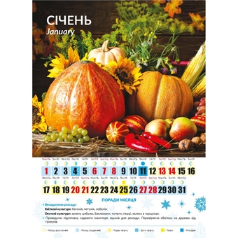 Бумажная книга «Календар Світовид міні 2024 Місячний календар садівника» - фото №2 - миниатюра