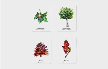 Бумажная книга «Match a Leaf», автор Тони Киркхэм - фото №2 - миниатюра