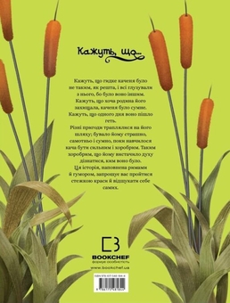 Бумажная книга «Кажуть, що... гидке каченя», авторов Валерия Давила, Моника Лопес - фото №2 - миниатюра