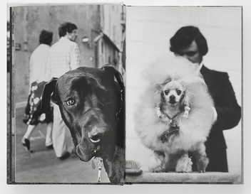Паперова книга «DogDogs», автор Елліот Ервітт - фото №5 - мініатюра