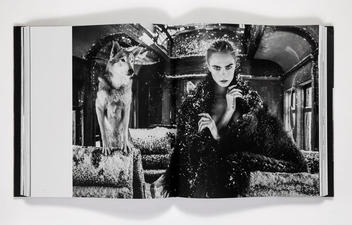 Паперова книга «David Yarrow: The Collection», автор Девід Ярроу - фото №3 - мініатюра