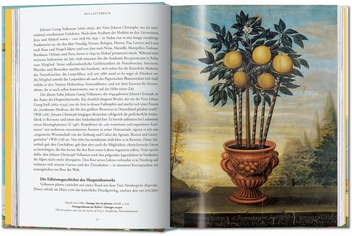 Бумажная книга «J. C. Volkamer. The Book of Citrus Fruits», автор Айрис Лаутербах - фото №3 - миниатюра