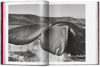 Бумажная книга «Sebastião Salgado. Genesis. 45th Ed.» - фото №3 - миниатюра
