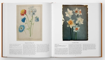 Бумажная книга «Flower: Exploring the World in Bloom», автор Редакторы "Phaidon" - фото №3 - миниатюра
