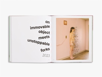 Паперова книга «Brooke DiDonato: Take a Picture, It Will Last Longer», автор Брук ДіДонато - фото №5 - мініатюра