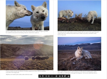 Бумажная книга «Frostlines: An Epic Exploration of the Transforming Arctic», автор Нил Ши - фото №3 - миниатюра