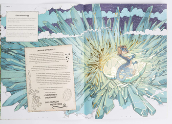 Бумажная книга «The Dragon Ark. Join the quest to save the rarest dragon on Earth» - фото №3 - миниатюра